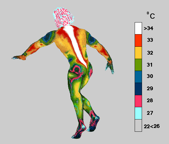 'Thermograms', temperature sensitive pictures, taken without clothes in a 22C room show that a healthy Child generates internal spinal warmth along the full length of his/her spine - The thermogram shown is a temperature sensitive image, with colours showing temperatures in 1C steps: Grey (cool), Turquoise, Purple, Pink, Blue, Green, Yellow, Orange, White (warm)... Where Grey (cool) is 22-26C or cooler and White (warm) is 34C or warmer